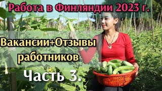 Вакансии в Финляндии 2023г. Отзывы работников.3-ая ЧАСТЬ