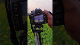 Nikon 18-140mm lens portrait photography #shorts #nikon #photography #camera #photoshoot #ytshorts