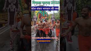 विशाल कावड़ मुजफ्फरनगर #kawadyatra2023 #haridwar #kawadshorts #dakkawad2023  @ankurmainivlogs8532