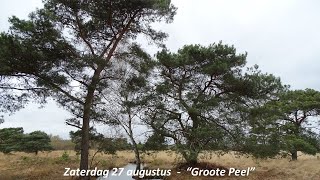 Groote Peel