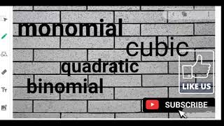 Classification of polynomials