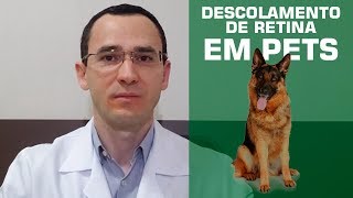 Descolamento de retina em pets