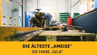 Die älteste Ameise (3) – Die Farbe Gelb