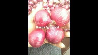 Packaging and Loading Of Nashik Red Onion, Pink Onion, White Onion, Natural Onion, Pune Red Onion