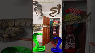 Animal funny video Anaconda snake python in my house in real life bhoot wala usa #bhojpuri #vfx p20