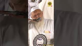 jamiyt ulamay hind short video moulana Arshad madani short video