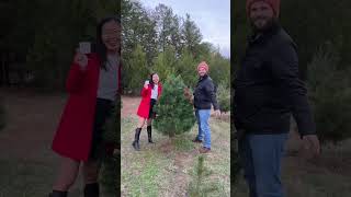 Jordan Lake Christmas Tree Farm in Apex, North Carolina