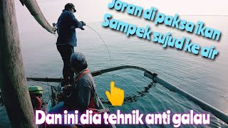 mancing di laut utara yang gak pernah mengecewakan||tehnik anti galau