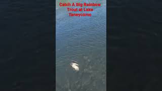 Catching a Big Rainbow Trout at Lake Taneycomo!  They Jump!  #bransonmo #giant #laketaneycomo