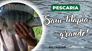 Só tilápia grande! Pescaria Rio Taquari Rs