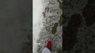 Crunchy Sound of Snow | #Shorts