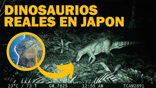 Toda la verdad de los dinosaurios encontrados en Japón