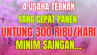 4 USAHA TERNAK YANG CEPAT PANEN UNTUNG 300 RIBU SEHARI (SAPI, KAMBING, KUDA, KELINCI)