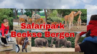 Safaripark Beekse Bergen