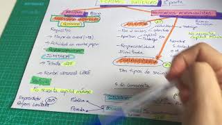 Teoría: Formas Jurídicas 1ªparte (Empresario individual, S. Colectiva, S. Comanditaria)