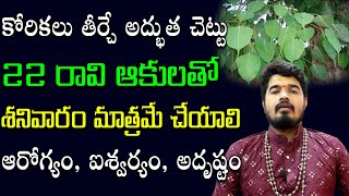 రావి ఆకులతో ఇలా చేస్తే మీ కోరిక‌లు తీరుతాయి || Raavi Aakulu || Korikalu || Satya Sai Sharma