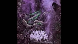 Infant Annihilator- Motherless Miscarriage(Instrumental)