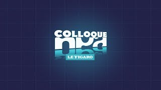 Resume 28e colloque NPA