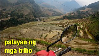 Hagdan-hagdang Palayan (amazing rice terraces)