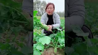 Watch me a satisfaying videos of agriculture growing fruit, vegetable, carrot, corn, onion etc 32