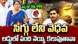 సిగ్గుండాలి..! Ys Sharmila Comments On Ys Jagan About Tirumala Laddoo/Laddu Row