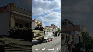 muatan mentul-mentul #shortvideo