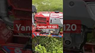 Yanmar TF 120 រាស់ពង្រោះ #shorts #yanmar #farming