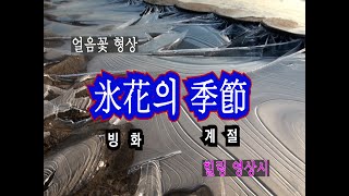 얼음 꽃 빙화(氷花)의 계절