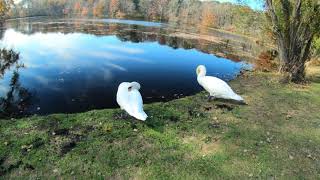 Caleb Smith State Park Preserve - Smithtown, NY (Hiking The Red trail) @jesseyuan