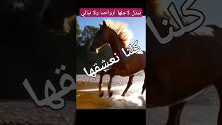 الوحيدة التي اتفقنا على حبها(ليست الخيل طبعا) #منوعات #اقتباسات