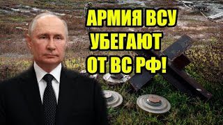 ВСУ УБЕГАЮТ! Украина столкнулась с «неимоверной» плотностью минных полей при контрнаступлении