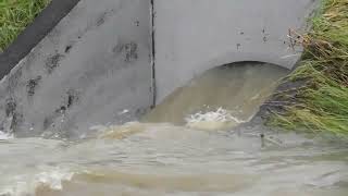 Wairau Valley Flooding 1 Feb 2023  part 2