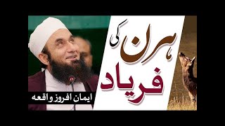 Deer  | ایک ہرن کی اللہ سے فریاد | Molana Tariq Jameel Bayan