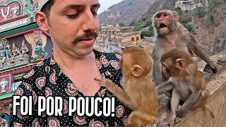 Quase fomos ATACADOS no TEMPLO DOS MACACOS! 🙉🇮🇳