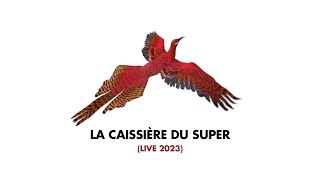 Arthur H - La caissière du super (Audio - Live 2023)