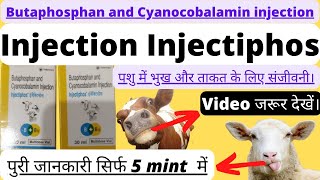 Butaphosphan and Cyanocobalamin injection | Injection injectiphos||  Injectiphos use in hindi