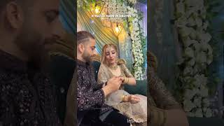 Beautiful  wedding of a  kashmiri couple Saleem and Fatemeh #kashmiri foreigners wedding# #ytshorts