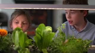 Growing Your Own Food Indoors - BBC Click