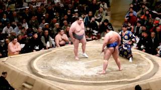 Tokyo Sumo Tournament #4