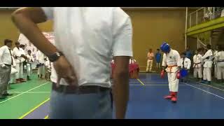 Karate World championship game.