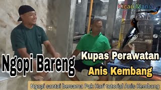 Perawatan Punglor Kembang Mulai Trotol sampai siap di bawa Lomba