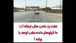 ملت رد دادن!!!!