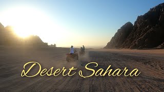 В пустыне на квадроцихлах|Рассвет в Сахаре| dawn in desert Sahara