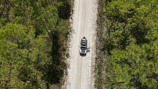 Part 1 - before the sticky situation #subaru #forester #offroad  #ApalachicolaNationalForest 🙌🤷🏽