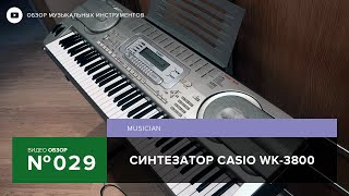 Обзор синтезатора Casio WK 3800