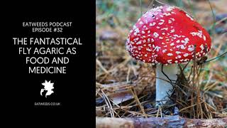 EP32: The Fantastical Delights of Fly Agaric // Fergus Drennan and Courtney Tyler