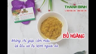 Bồ Hoàng - Địa chỉ bán bồ hoàng tại TPHCM chất lượng và giá tốt nhất