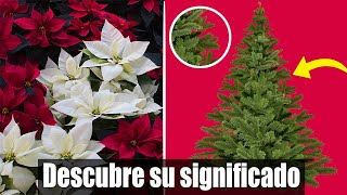 Estas dos flores/plantas NO pueden faltar en tu decoración de Navidad - it's Me Skay