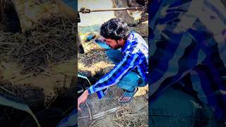 Sugarcane Juice #shorts #pindawale #sidhumoosewala #villagelife