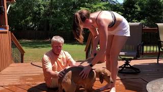 Puppy gets his first bath from Brittney and Pedro!